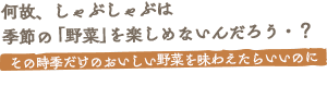 各地の農家の想いが詰まった野菜