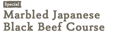 霜降Japanese Black beefのコース